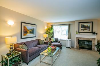 The park apartments gas fireplace with mantle